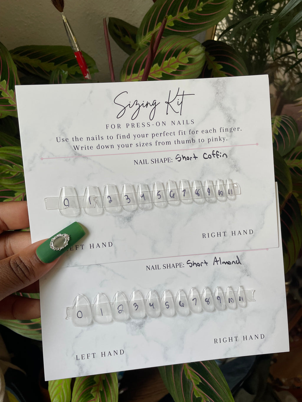 Sizing Kit